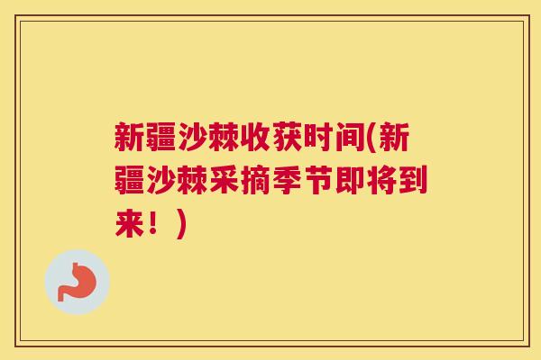 新疆沙棘收获时间(新疆沙棘采摘季节即将到来！)