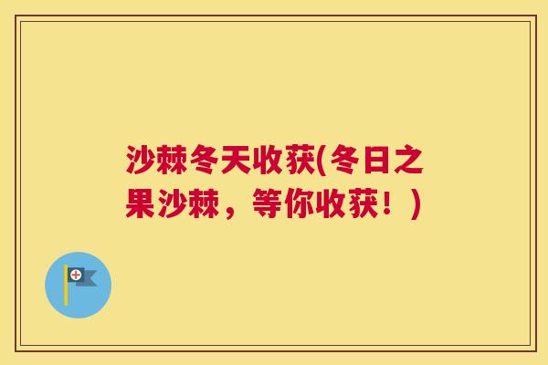 沙棘冬天收获(冬日之果沙棘,等你收获!)