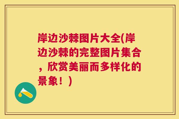 岸边沙棘图片大全(岸边沙棘的完整图片集合，欣赏美丽而多样化的景象！)