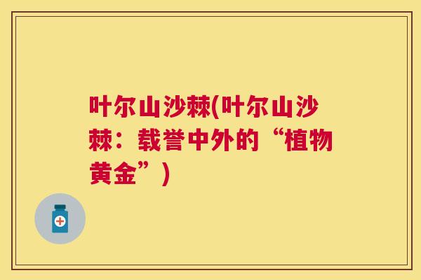 叶尔山沙棘(叶尔山沙棘：载誉中外的“植物黄金”)