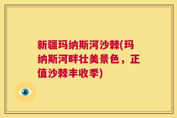 新疆玛纳斯河沙棘(玛纳斯河畔壮美景色,正值沙棘丰收季)