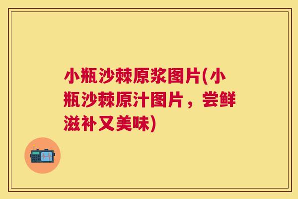 小瓶沙棘原浆图片(小瓶沙棘原汁图片，尝鲜滋补又美味)