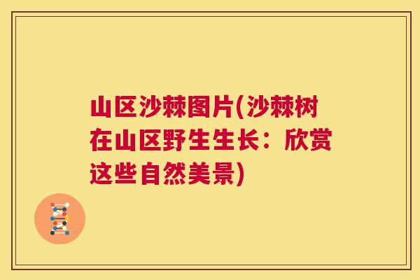 山区沙棘图片(沙棘树在山区野生生长：欣赏这些自然美景)