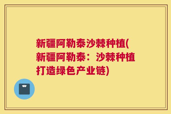 新疆阿勒泰沙棘种植(新疆阿勒泰：沙棘种植打造绿色产业链)
