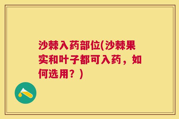 沙棘入药部位(沙棘果实和叶子都可入药，如何选用？)