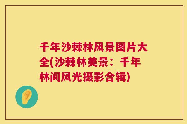 千年沙棘林风景图片大全(沙棘林美景：千年林间风光摄影合辑)