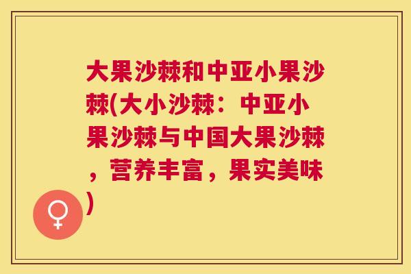 大果沙棘和中亚小果沙棘(大小沙棘:中亚小果沙棘与中国大果沙棘,营养丰富,果实美味)