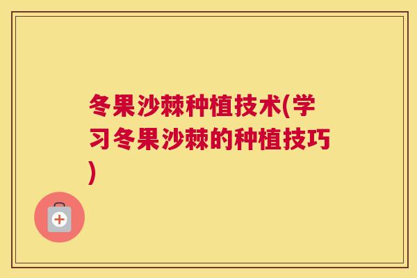 冬果沙棘种植技术(学习冬果沙棘的种植技巧)