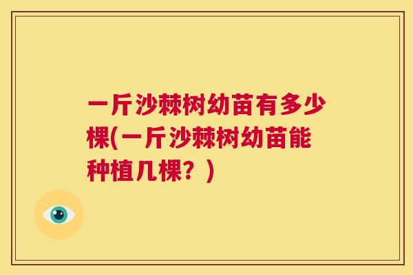 一斤沙棘树幼苗有多少棵(一斤沙棘树幼苗能种植几棵?)