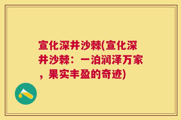 宣化深井沙棘(宣化深井沙棘:一泊润泽万家,果实丰盈的奇迹)