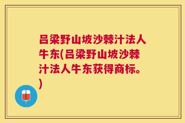 吕梁野山坡沙棘汁法人牛东(吕梁野山坡沙棘汁法人牛东获得商标。)