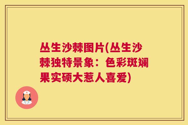 丛生沙棘图片(丛生沙棘独特景象:色彩斑斓果实硕大惹人喜爱)