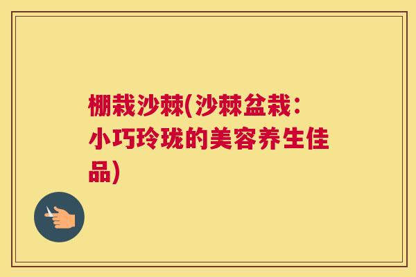 棚栽沙棘(沙棘盆栽:小巧玲珑的美容养生佳品)