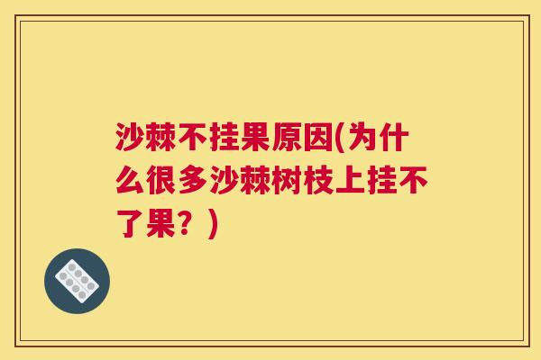 沙棘不挂果原因(为什么很多沙棘树枝上挂不了果？)