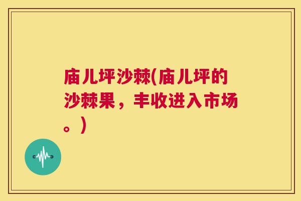 庙儿坪沙棘(庙儿坪的沙棘果，丰收进入市场。)