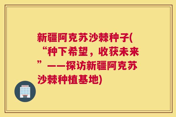 新疆阿克苏沙棘种子(“种下希望,收获未来”——探访新疆阿克苏沙棘种植基地)