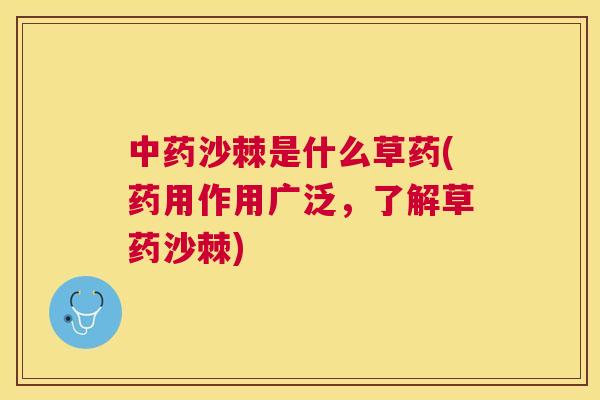 中药沙棘是什么草药(药用作用广泛,了解草药沙棘)