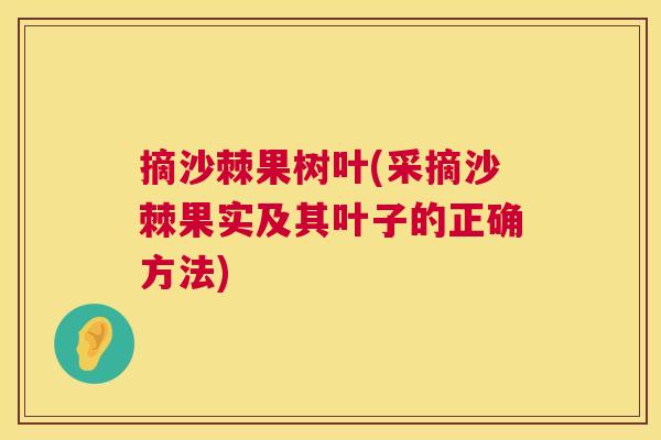 摘沙棘果树叶(采摘沙棘果实及其叶子的正确方法)