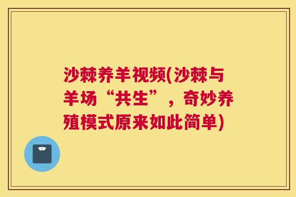 沙棘养羊视频(沙棘与羊场“共生”，奇妙养殖模式原来如此简单)