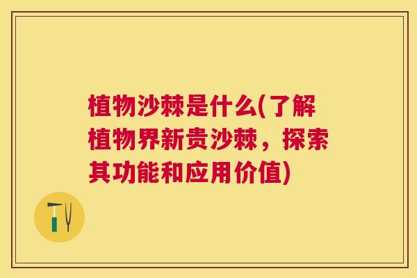 植物沙棘是什么(了解植物界新贵沙棘，探索其功能和应用价值)