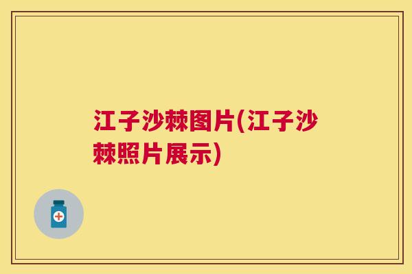 江子沙棘图片(江子沙棘照片展示)
