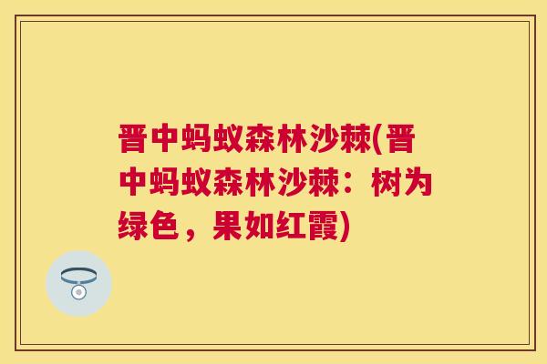 晋中蚂蚁森林沙棘(晋中蚂蚁森林沙棘：树为绿色，果如红霞)