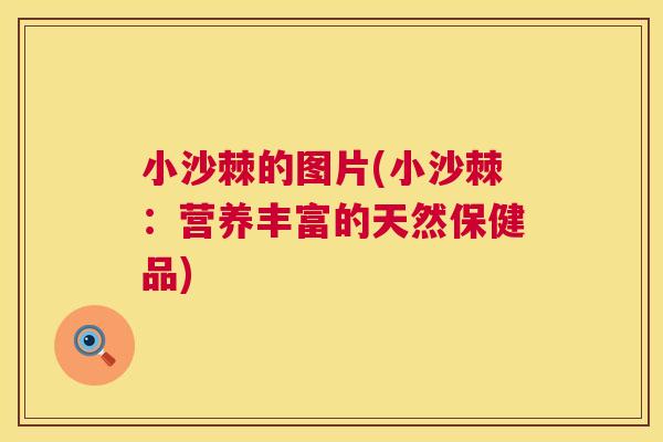 小沙棘的图片(小沙棘：营养丰富的天然保健品)