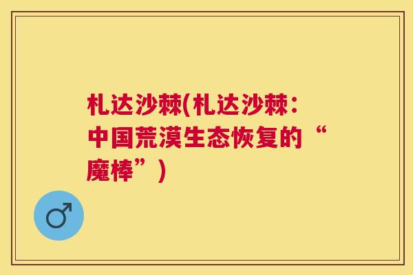 札达沙棘(札达沙棘:中国荒漠生态恢复的“魔棒”) 札达沙棘(札达沙棘:中国荒漠生态恢复的“魔棒”)