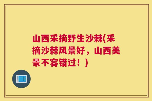山西采摘野生沙棘(采摘沙棘风景好，山西美景不容错过！)
