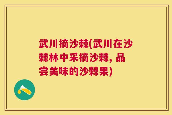 武川摘沙棘(武川在沙棘林中采摘沙棘, 品尝美味的沙棘果)