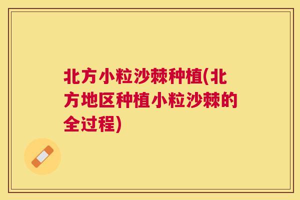 北方小粒沙棘种植(北方地区种植小粒沙棘的全过程)