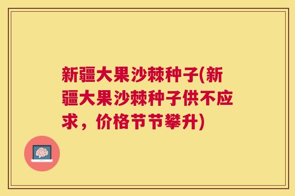 新疆大果沙棘种子(新疆大果沙棘种子供不应求，价格节节攀升)