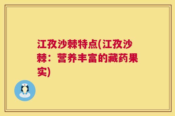 江孜沙棘特点(江孜沙棘：营养丰富的藏药果实)