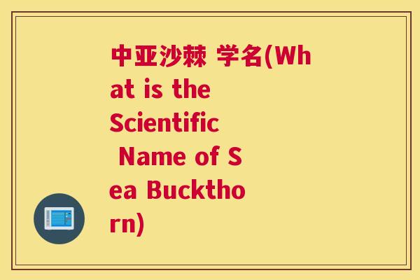 中亚沙棘 学名(What is the Scientific Name of Sea Buckthorn)