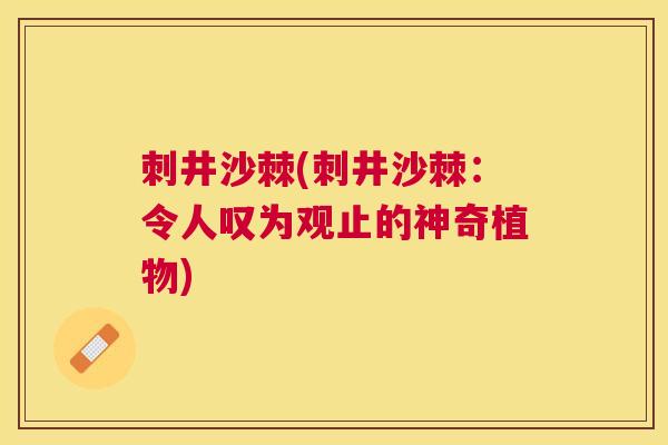 刺井沙棘(刺井沙棘：令人叹为观止的神奇植物)