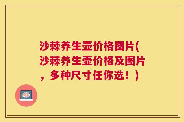 沙棘养生壶价格图片(沙棘养生壶价格及图片，多种尺寸任你选！)
