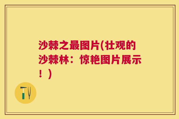 沙棘之最图片(壮观的沙棘林：惊艳图片展示！)