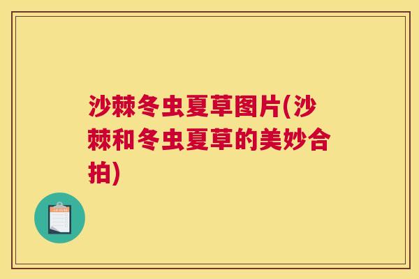 沙棘冬虫夏草图片(沙棘和冬虫夏草的美妙合拍)