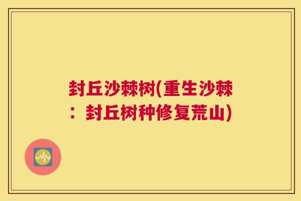 封丘沙棘树(重生沙棘：封丘树种修复荒山)