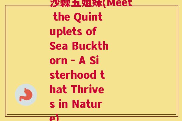 沙棘五姐妹(Meet the Quintuplets of Sea Buckthorn - A Sisterhood that Thrives in Nature)