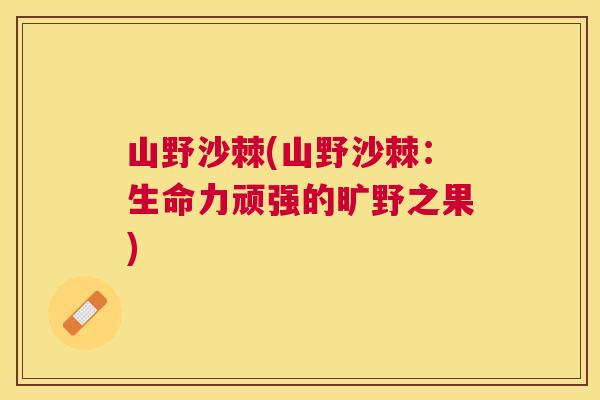 山野沙棘(山野沙棘：生命力顽强的旷野之果)