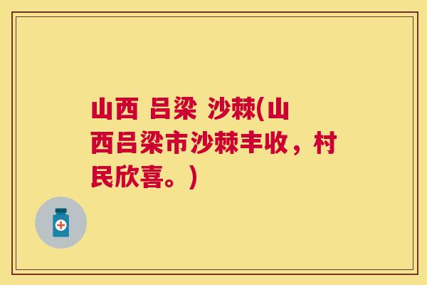 山西 吕梁 沙棘(山西吕梁市沙棘丰收，村民欣喜。)