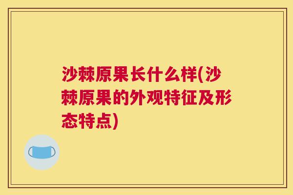 沙棘原果长什么样(沙棘原果的外观特征及形态特点)