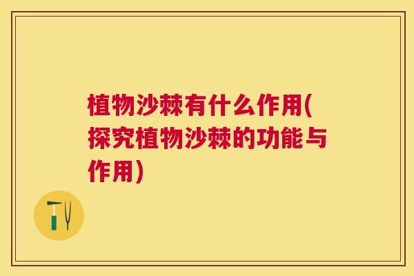 植物沙棘有什么作用(探究植物沙棘的功能与作用)
