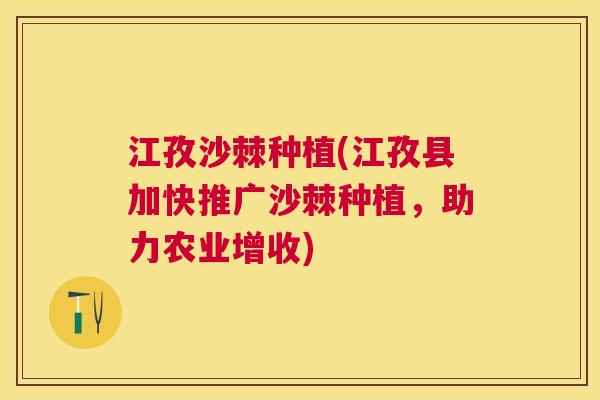 江孜沙棘种植(江孜县加快推广沙棘种植，助力农业增收)