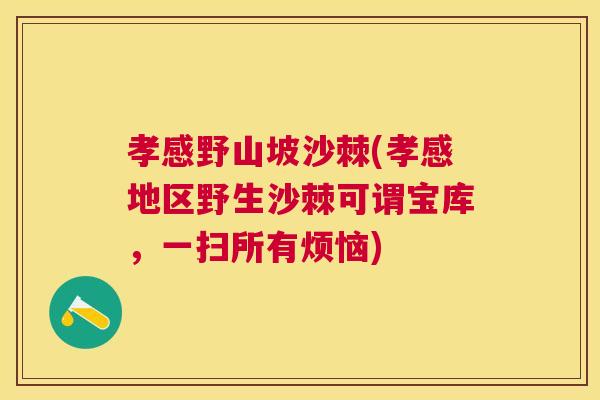 孝感野山坡沙棘(孝感地区野生沙棘可谓宝库，一扫所有烦恼)