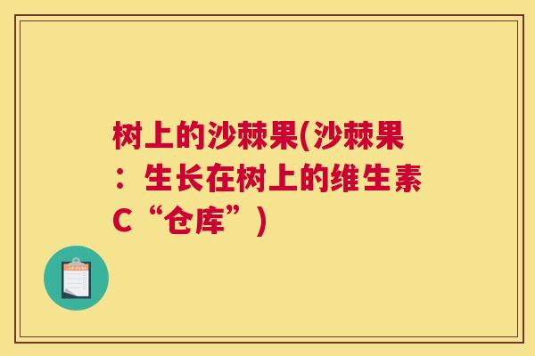 树上的沙棘果(沙棘果：生长在树上的维生素C“仓库”)