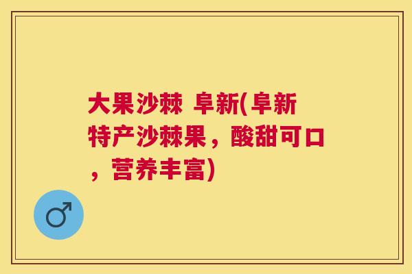 大果沙棘 阜新(阜新特产沙棘果，酸甜可口，营养丰富)