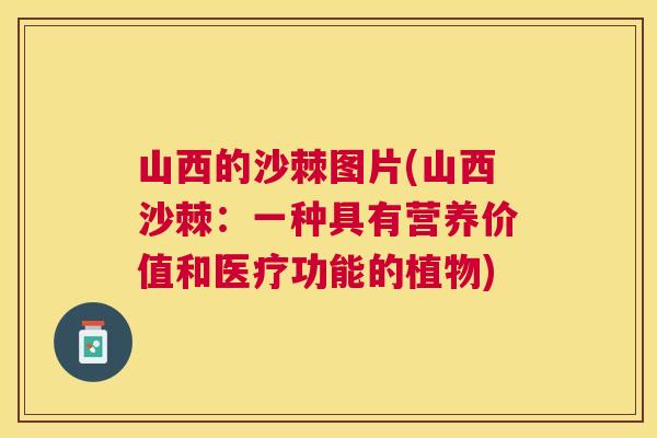 山西的沙棘图片(山西沙棘：一种具有营养价值和医疗功能的植物)