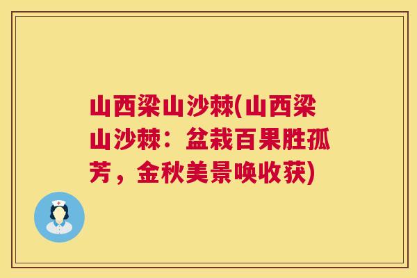 山西梁山沙棘(山西梁山沙棘：盆栽百果胜孤芳，金秋美景唤收获)